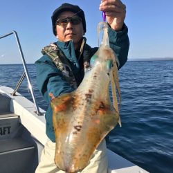 South Current 釣果