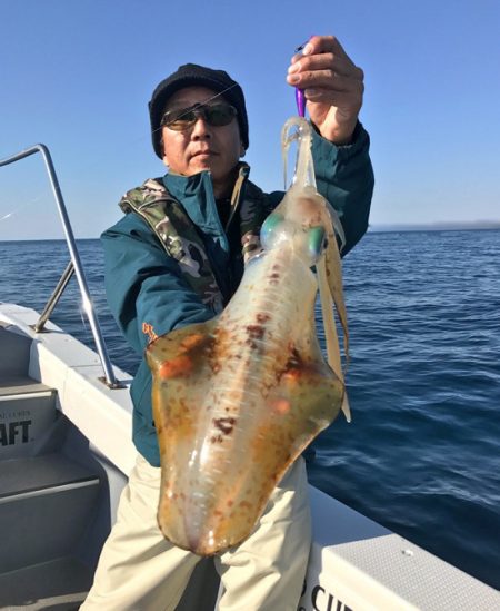 South Current 釣果