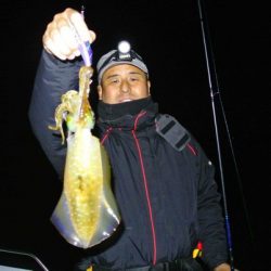 South Current 釣果