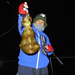 South Current 釣果