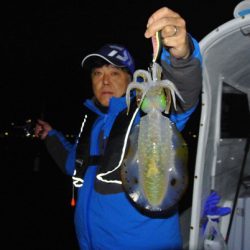 South Current 釣果