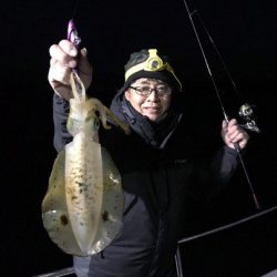 South Current 釣果