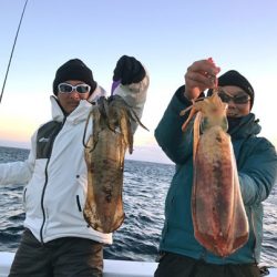 South Current 釣果