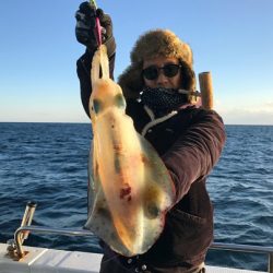 South Current 釣果