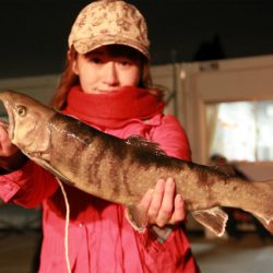 としまえんフィッシングエリア 釣果