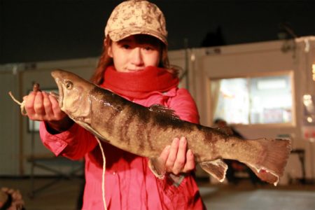 としまえんフィッシングエリア 釣果