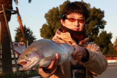 としまえんフィッシングエリア 釣果