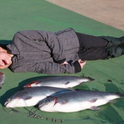 としまえんフィッシングエリア 釣果