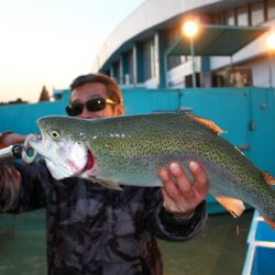 としまえんフィッシングエリア 釣果