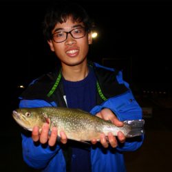 としまえんフィッシングエリア 釣果