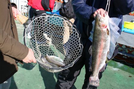 としまえんフィッシングエリア 釣果