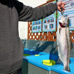 としまえんフィッシングエリア 釣果