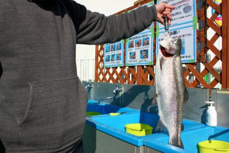 としまえんフィッシングエリア 釣果