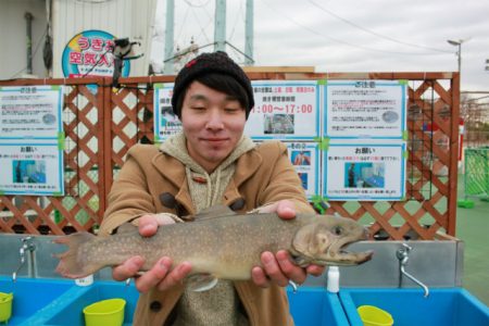 としまえんフィッシングエリア 釣果