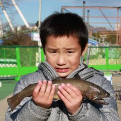 としまえんフィッシングエリア 釣果