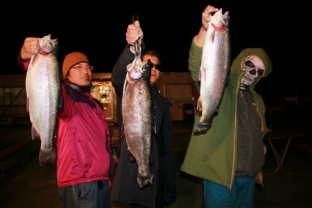 としまえんフィッシングエリア 釣果