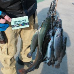 としまえんフィッシングエリア 釣果