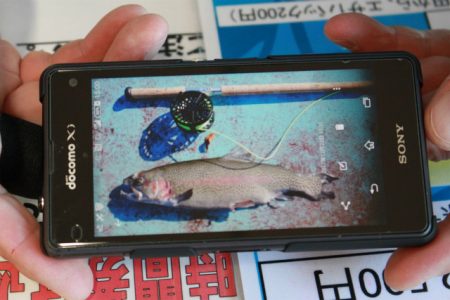 としまえんフィッシングエリア 釣果