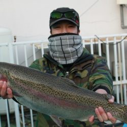 としまえんフィッシングエリア 釣果