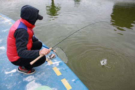 としまえんフィッシングエリア 釣果