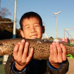 としまえんフィッシングエリア 釣果