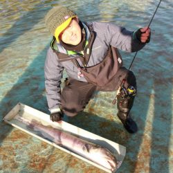 としまえんフィッシングエリア 釣果