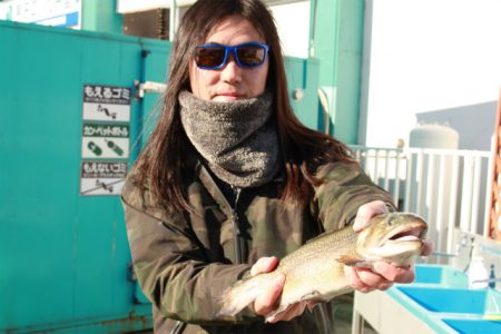 としまえんフィッシングエリア 釣果