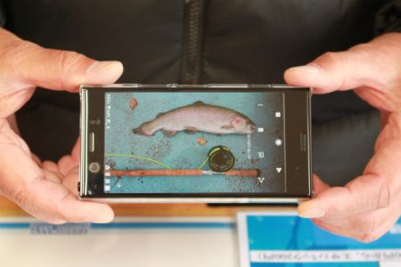 としまえんフィッシングエリア 釣果