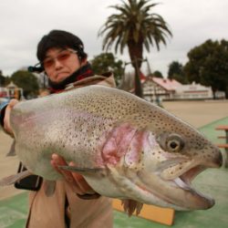 としまえんフィッシングエリア 釣果