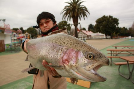 としまえんフィッシングエリア 釣果