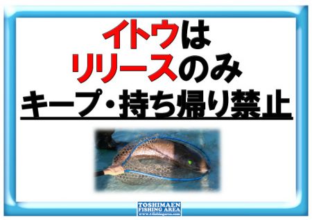 としまえんフィッシングエリア 釣果