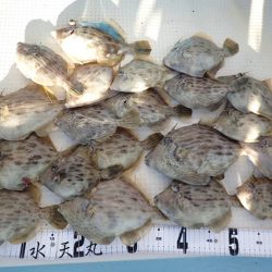 水天丸 釣果