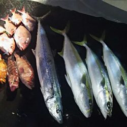 光生丸 釣果