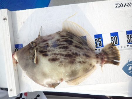 水天丸 釣果