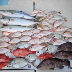 水天丸 釣果