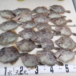 水天丸 釣果