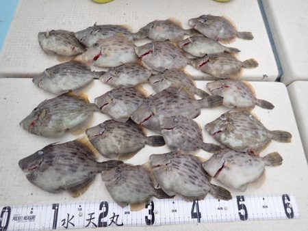 水天丸 釣果