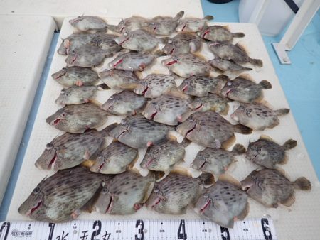 水天丸 釣果