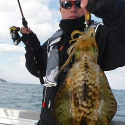 ブルースフィッシングサービス 釣果