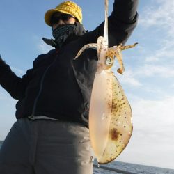 ブルースフィッシングサービス 釣果