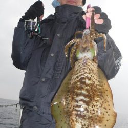 ブルースフィッシングサービス 釣果