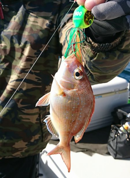 遊漁船　家入 釣果