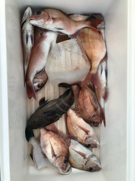 新幸丸 釣果
