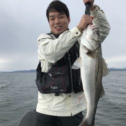 アマテラス 釣果