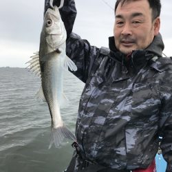 アマテラス 釣果