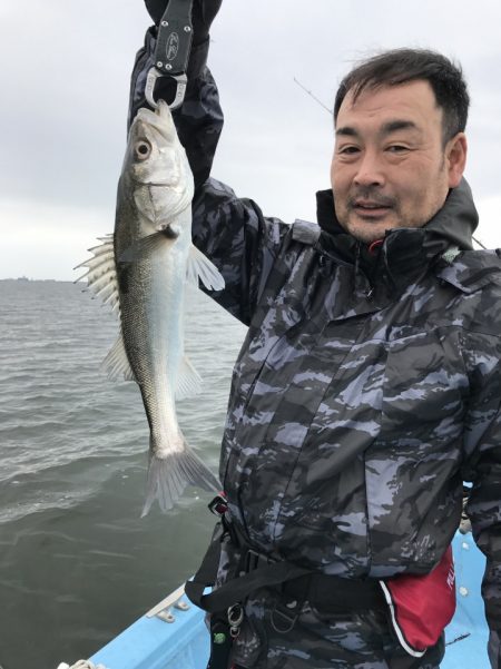 アマテラス 釣果