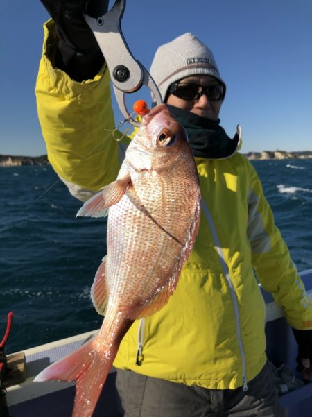 新幸丸 釣果