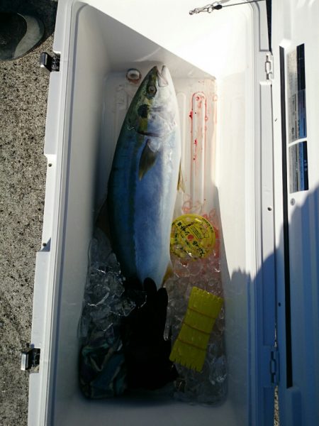 エンペラー 釣果