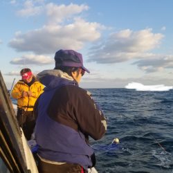 ソルトウォーターガイドフレンズ 釣果