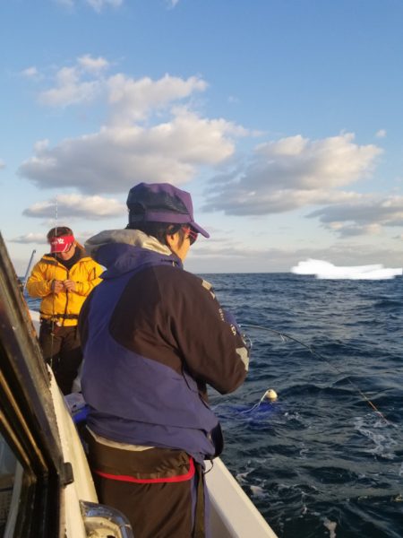 ソルトウォーターガイドフレンズ 釣果